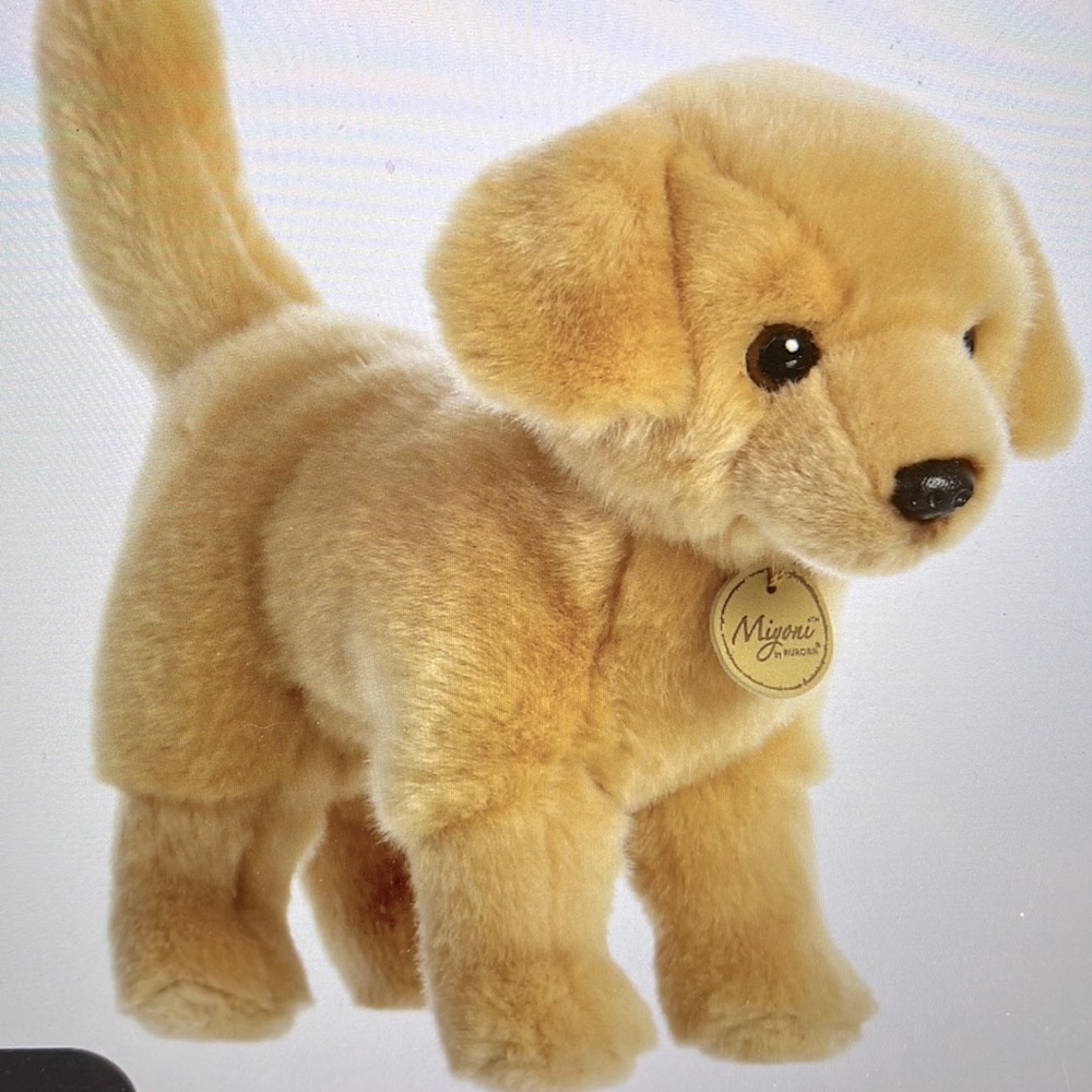 Aurora Miyoni 10” Yellow Labrador Made For Lasting Love ❤️